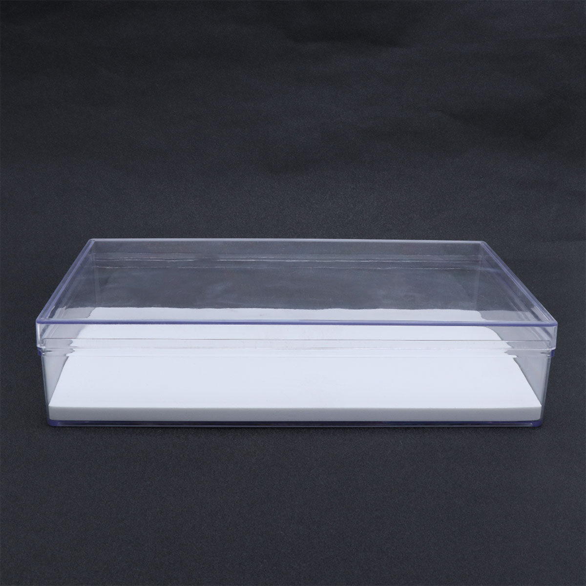Collectors Coins Jewelry & Watches Of Smithtown - 1Pcs Transparent Specimen Display Box Insect
