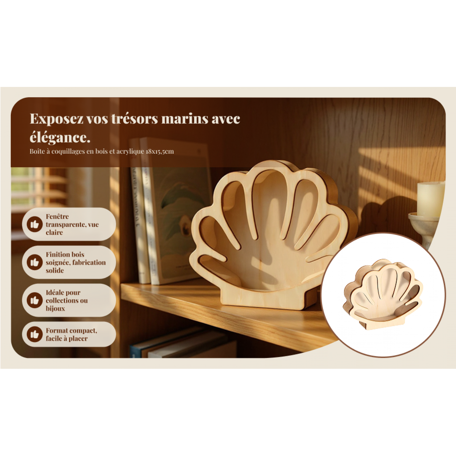 Wooden Shell Display Box Colle - Collectors Coins Jewelry & Watches Of Smithtown recension och pris